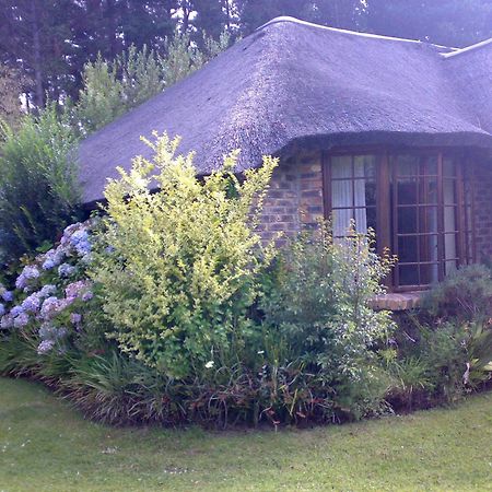 Coral Tree Cottages Harkerville Exterior foto