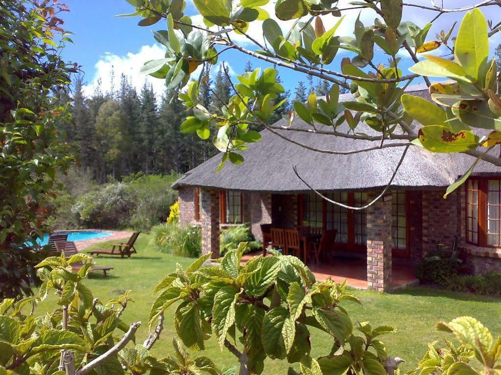 Coral Tree Cottages Harkerville Exterior foto